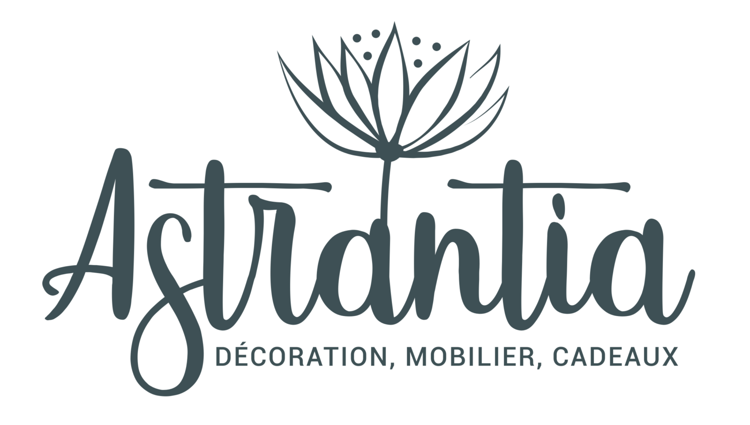 13 - Partenaire Astrantia